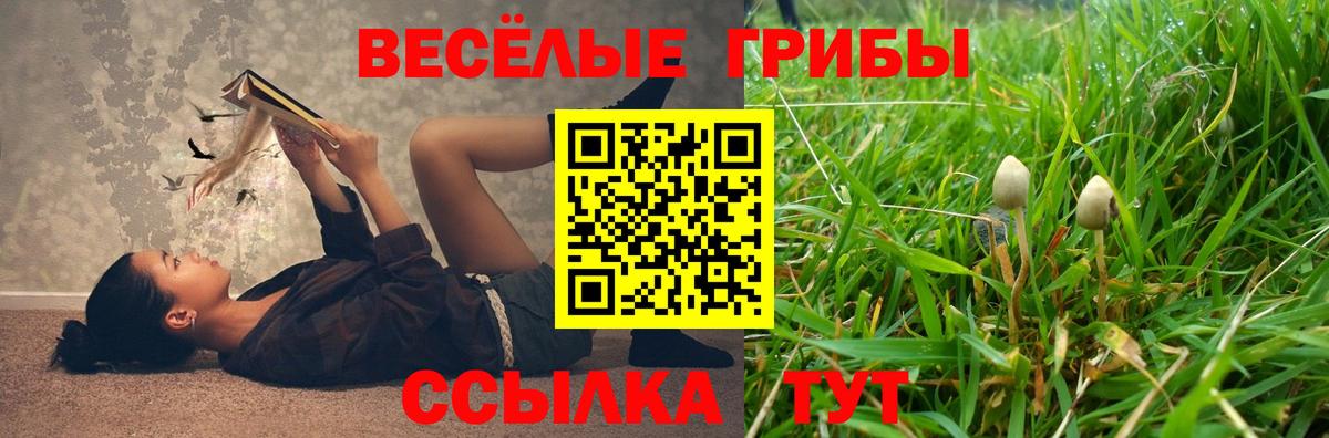 Псилоцибиновые грибы GOLDEN TEACHER Чусовой
